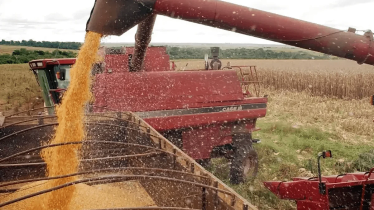 Estudo mapeia áreas mais vulneráveis à poluição difusa do agro