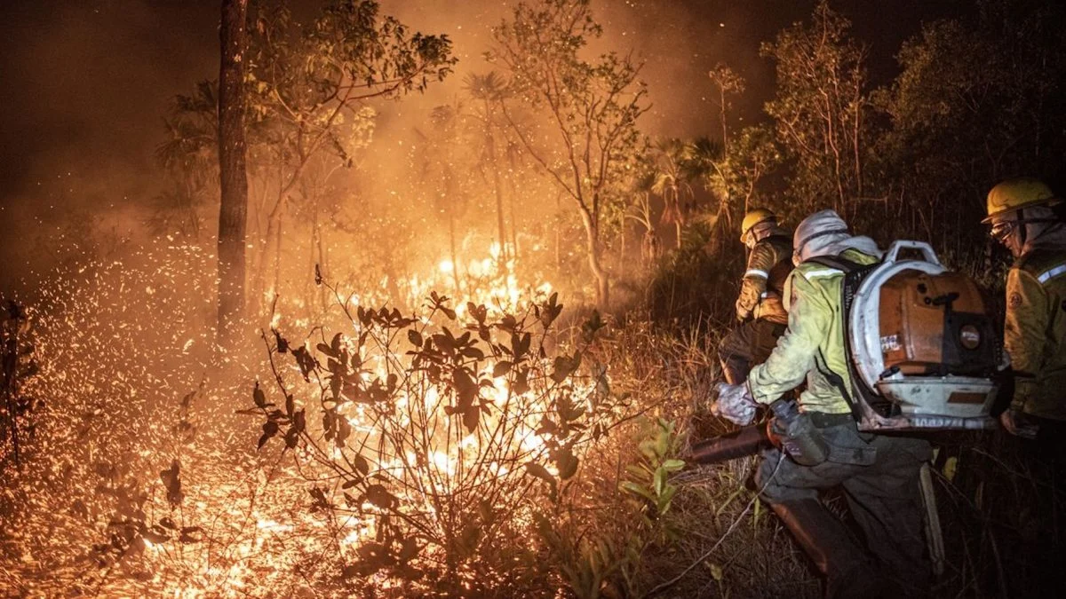 Ibama extingue 229 incêndios no Amazonas e segue no combate ao fogo