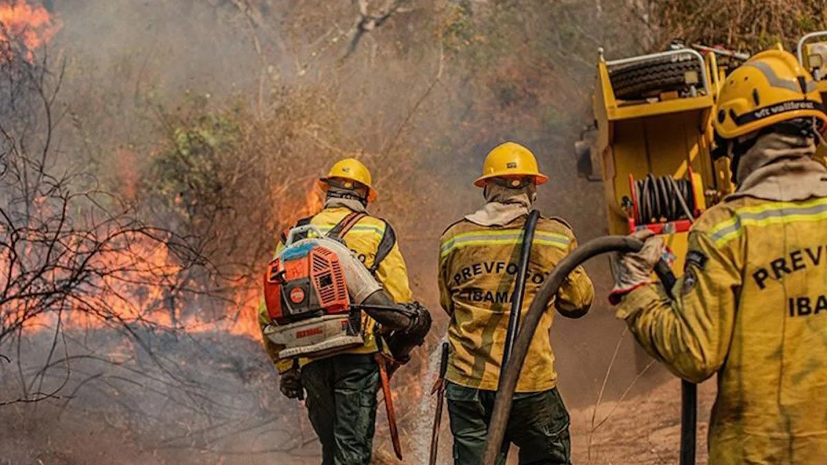 Entenda como está a situação dos incêndios no Amazonas