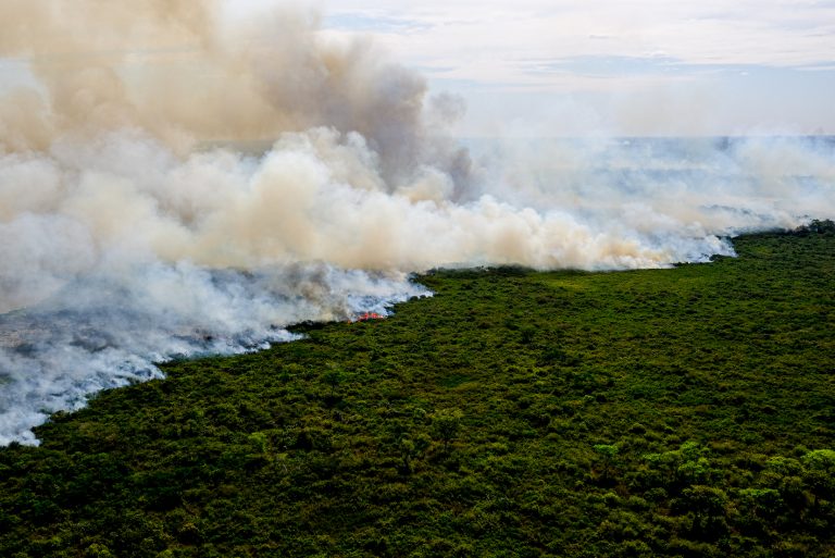 Medida provisória abre crédito extra de R$ 300 milhões para combate a incêndios na Amazônia