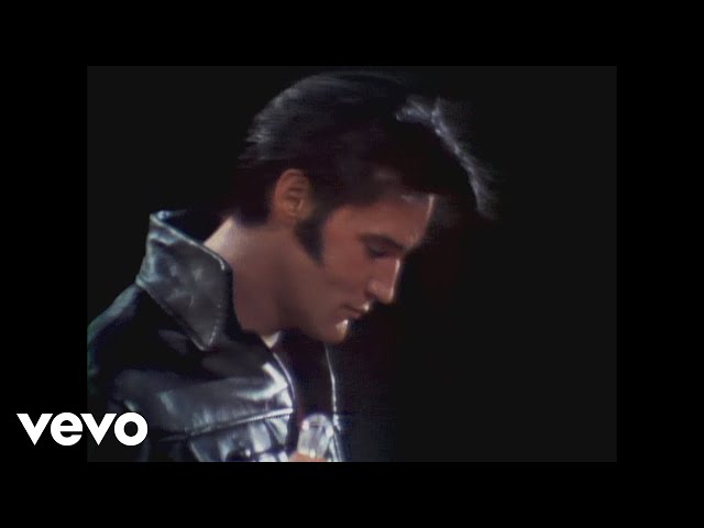 Dia dos Namorados: 10 músicas para você se declarar ao seu amor