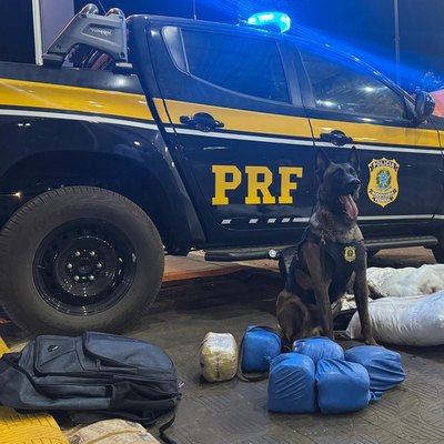 Polícia apreende skunk em ônibus na BR-364 com auxílio de cão farejador