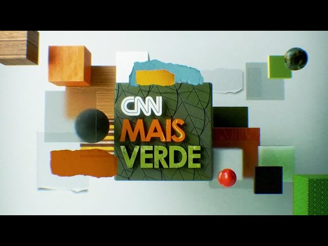 Árvores gigantes da Amazônia podem ajudar a frear mudanças climáticas