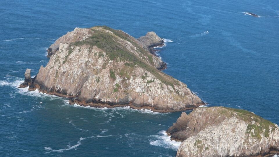 A ilha brasileira que abriga o mamífero mais raro do mundo