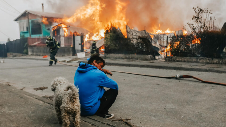 Incêndios florestais no Chile matam 16 e governo declara estado de catástrofe