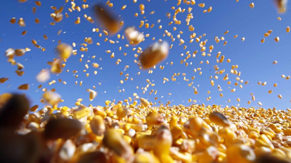 A força do agro em 2026 vai depender menos da safra e mais da estratégia