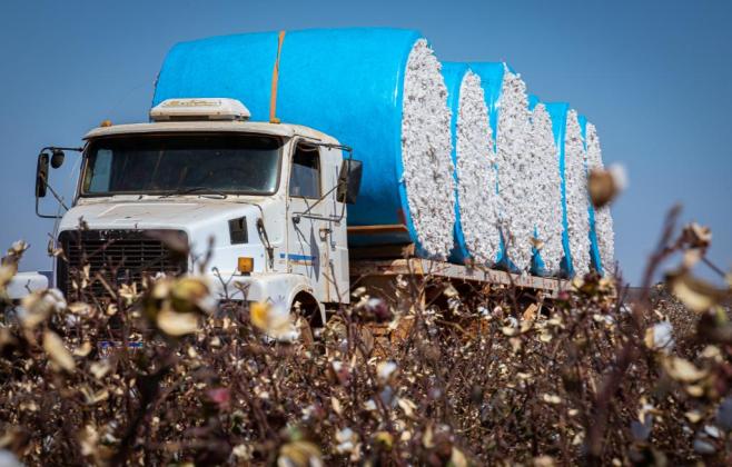 Mato Grosso lidera a balança comercial brasileira em 2025
