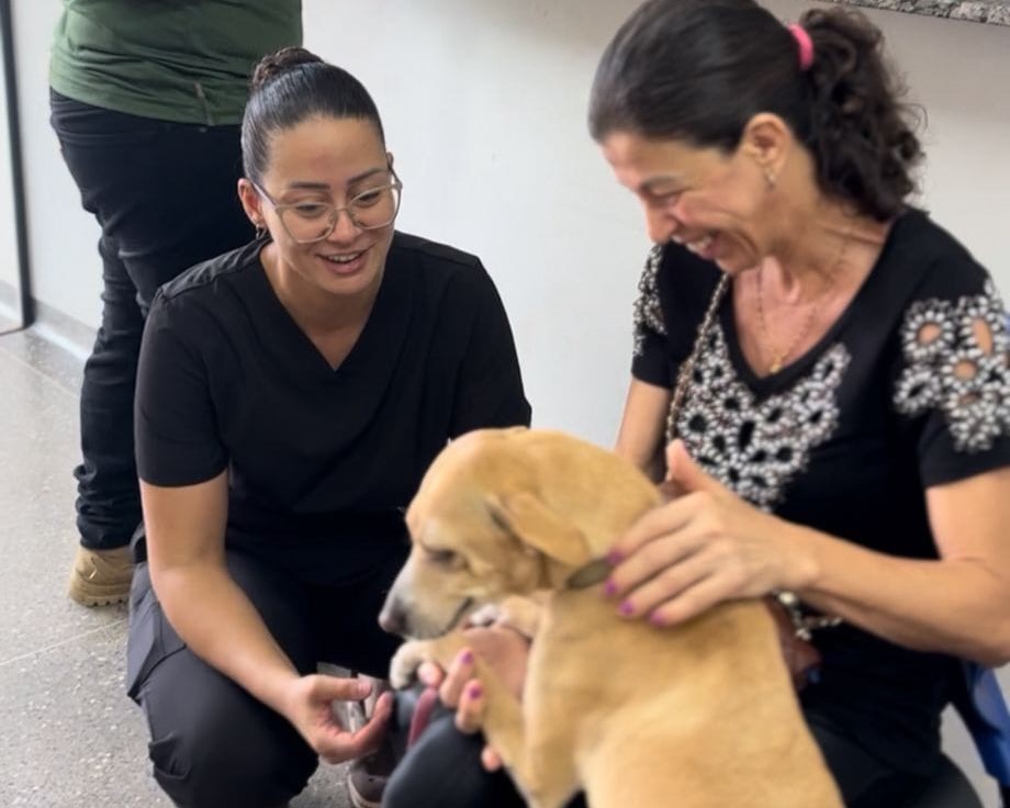 CIBEAR: Município realiza 1.033 consultas veterinárias para população de baixa renda em 10 meses Publicado em 24/02/26 às 14:48 Secretaria Municipal de Meio Ambiente, Agricultura e Pecuária