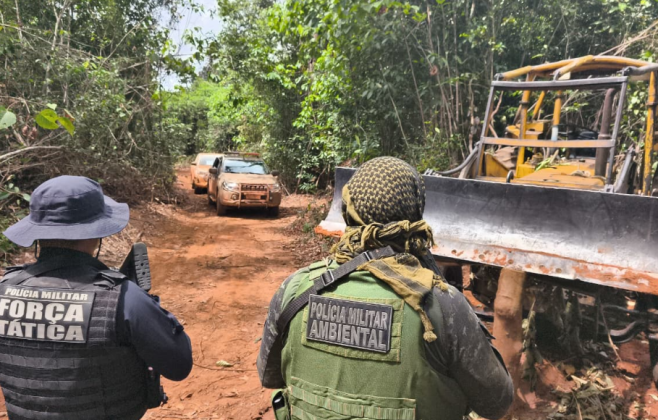 Batalhão Ambiental aplica multa em mais de R$ 1 milhão por exploração irregular de madeira