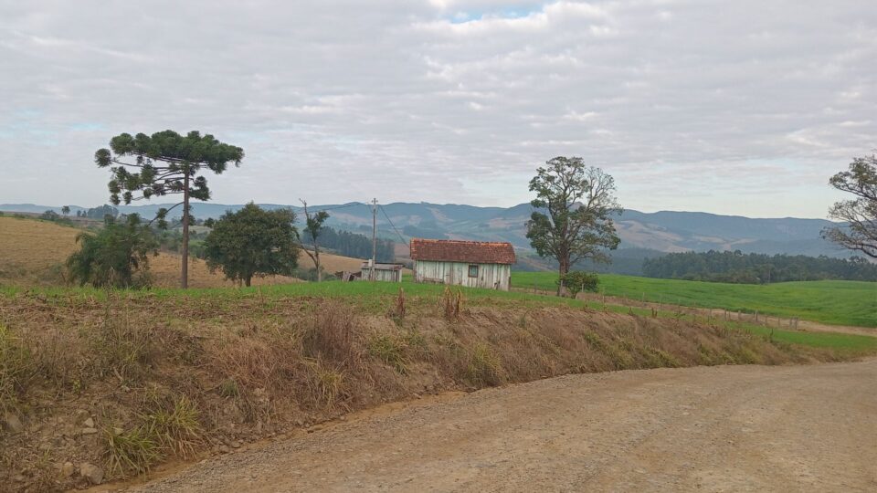 Tudo isso para quê, Daniel Vorcaro?!