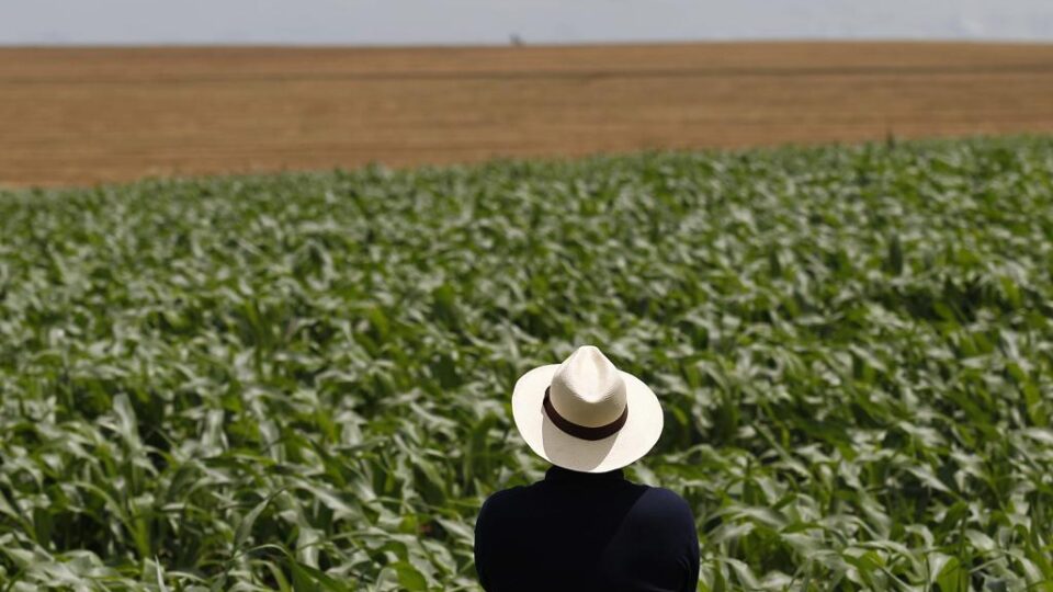 Inflação à vista? Como o conflito no Oriente Médio afeta o agronegócio brasileiro