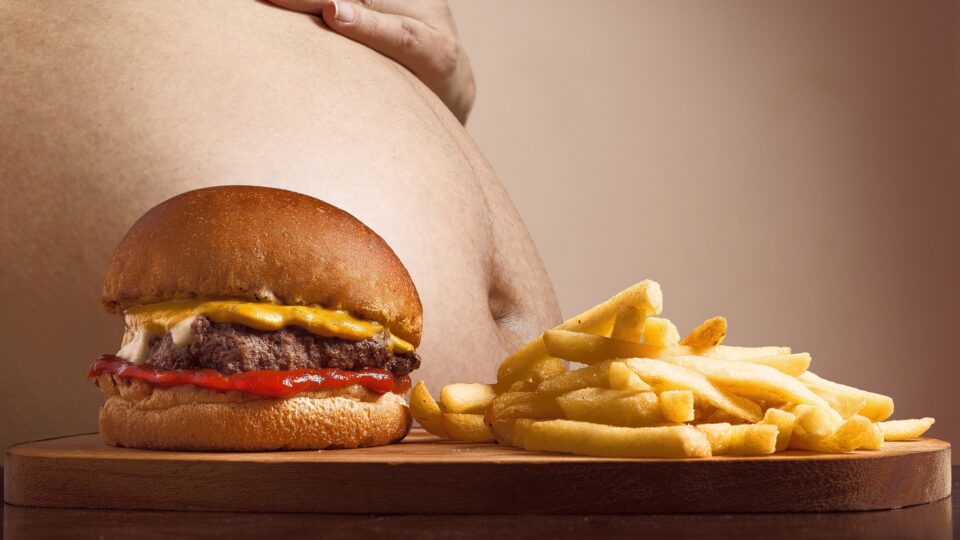 Por que dietas ricas em gordura aumentam chance de câncer no fígado?