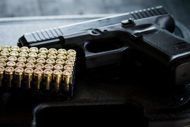 Comissão de Segurança discute concessão de porte de arma para auditores fiscais agropecuários