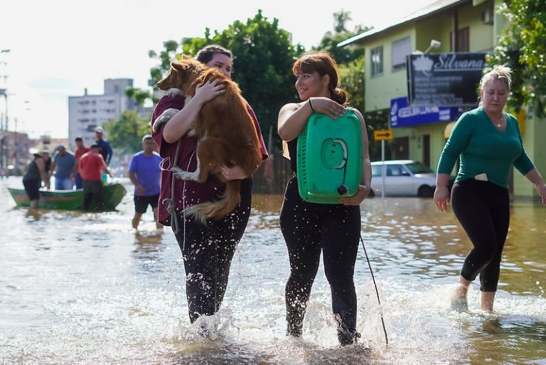 Entra em vigor lei que cria política de proteção a animais resgatados em desastres