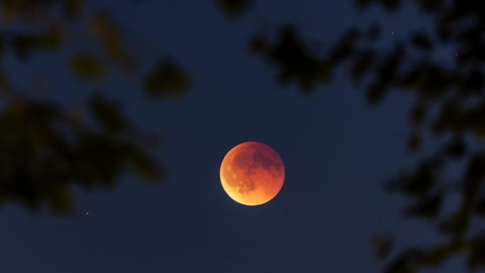 Lua de Sangue: veja imagens surpreendentes do eclipse lunar  que foi visível no Brasil
