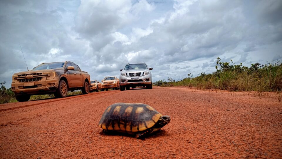 Como a nova estrada na Guiana vai mudar a economia do Norte do Brasil?