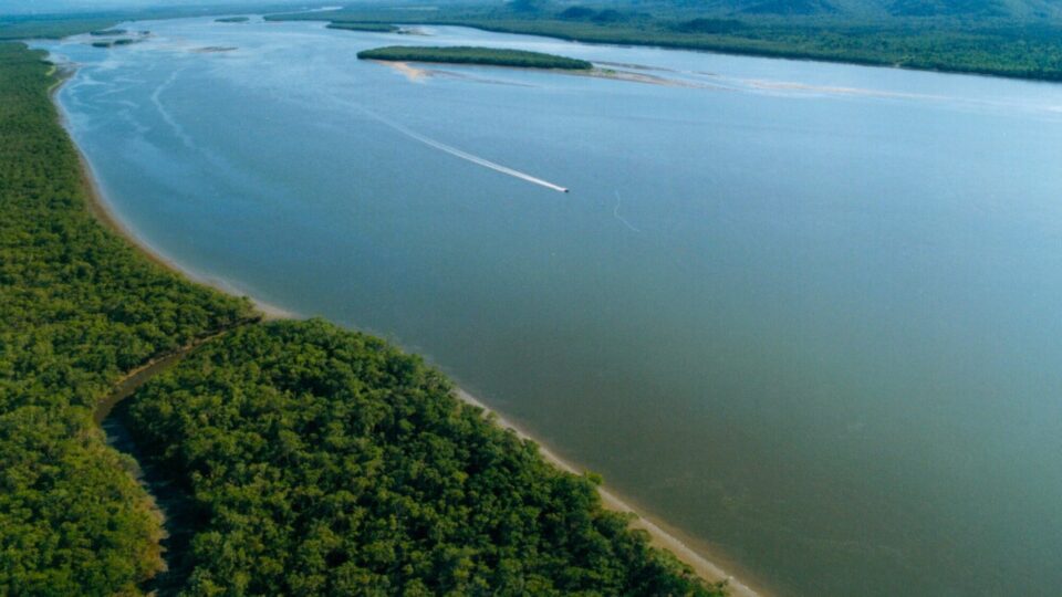 “Pantanal do Sul”: por que pescadores comparam cidade de SC à região do Centro-Oeste brasileiro