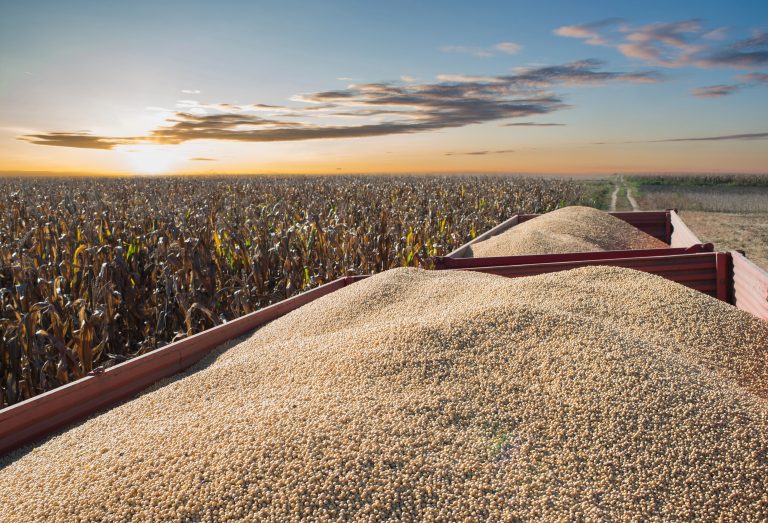 Comissão de Agricultura debate cobrança de royalties na produção de soja