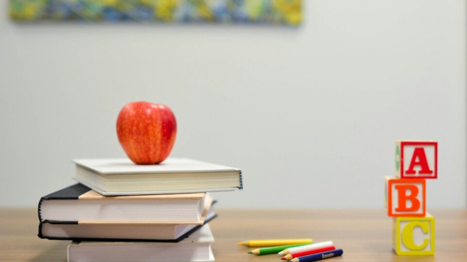 A transição demográfica brasileira e o novo horizonte da educação