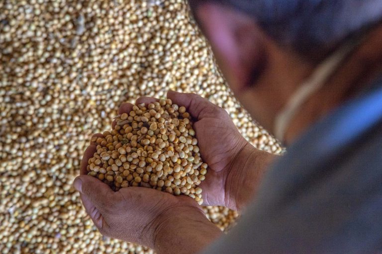 Comissão de Agricultura debate rastreabilidade de agrotóxicos e certificação de grãos