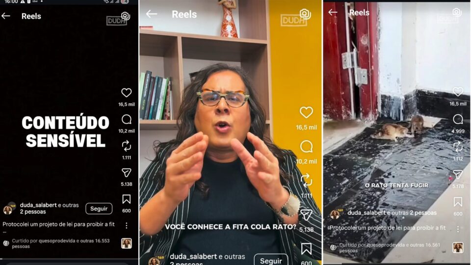 PSOL sai em defesa dos ratos e quer proibir fita que mata pragas: “crueldade”