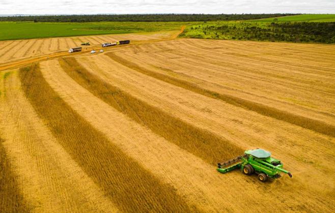 MT consolida safra 25/26 com produção recorde e mantém liderança na soja há 26 safras