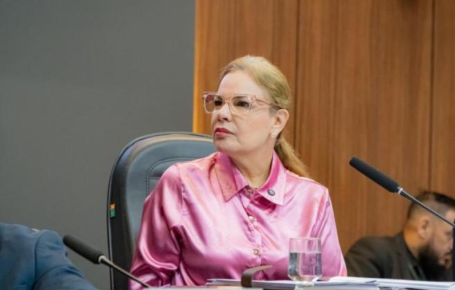 Câmara aprova ampliação da Parada Segura para idosos, PcDs e neurodivergentes