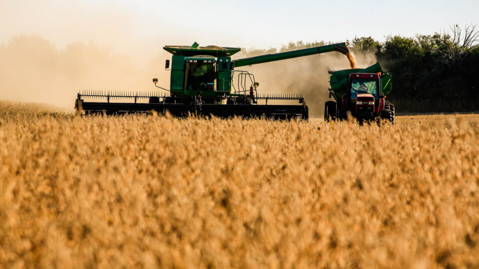 Agro puxa crescimento da economia e PIB avança 1,1% no primeiro trimestre
