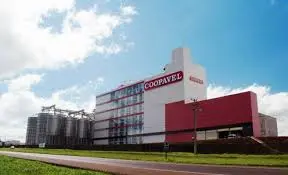 De dois produtos a R$ 164 milhões: empresa familiar vira referência em higiene no Sul