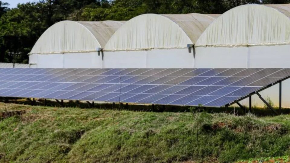 Paraná avança em energia solar fotovoltaica e discute futuro do descarte de placas