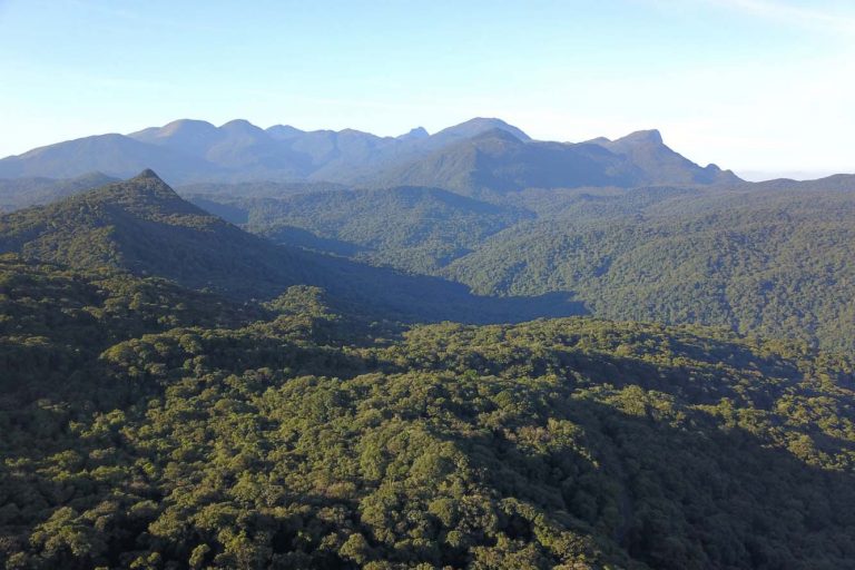 Comissão debate papel da Mata Atlântica na adaptação às mudanças climáticas