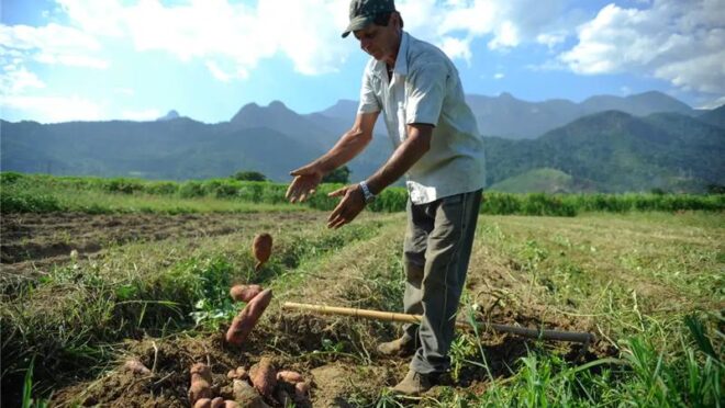 Governo vai orientar voto contra PL que permite renegociação de dívidas do agro