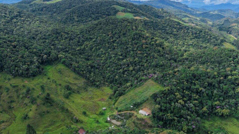 Como Santa Catarina vai pagar produtores para preservar florestas nativas?