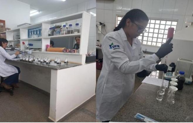 Pesquisadores desenvolvem fertilizante sustentável a partir de cinza vegetal em Rondonópolis