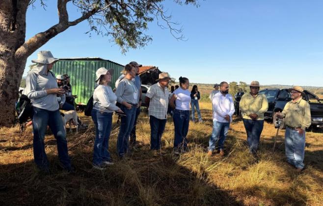 Programa Todos pelo Araguaia deve recuperar mil hectares de áreas degradadas até dezembro