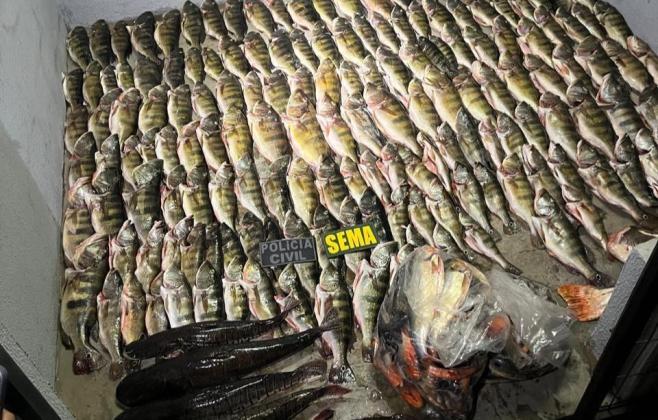 Sema apreende 184 unidades de pescado em Luciara e carne de caça em Santa Terezinha