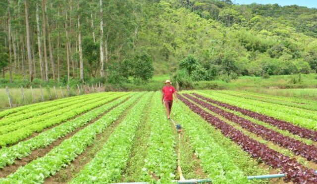 Governo de SC anuncia R$ 750 milhões para segurar renda e produção no campo e na pesca