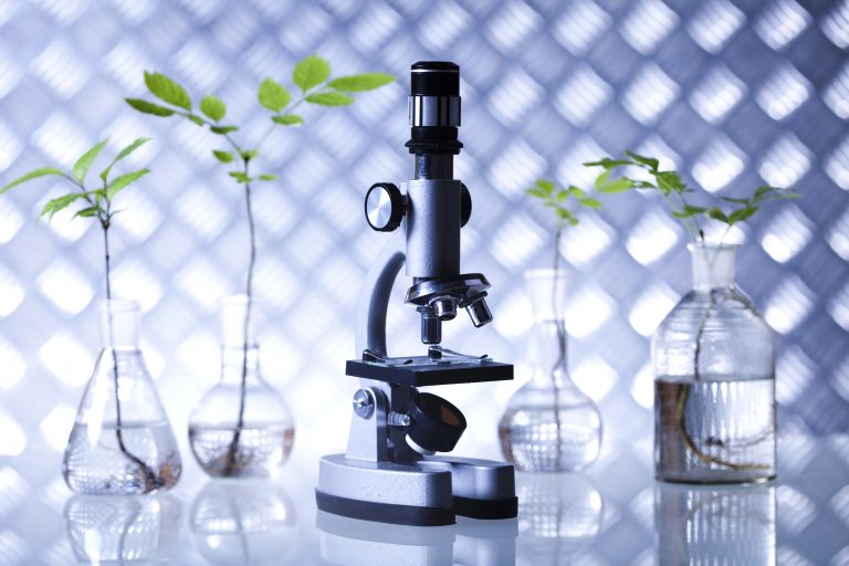 Audiência na Câmara discute pesquisas em agricultura espacial