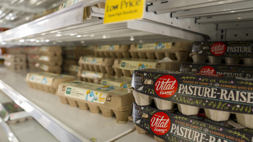 Pesquisadores concluem que consumo elevado de proteínas não é saudável. Veja orientação