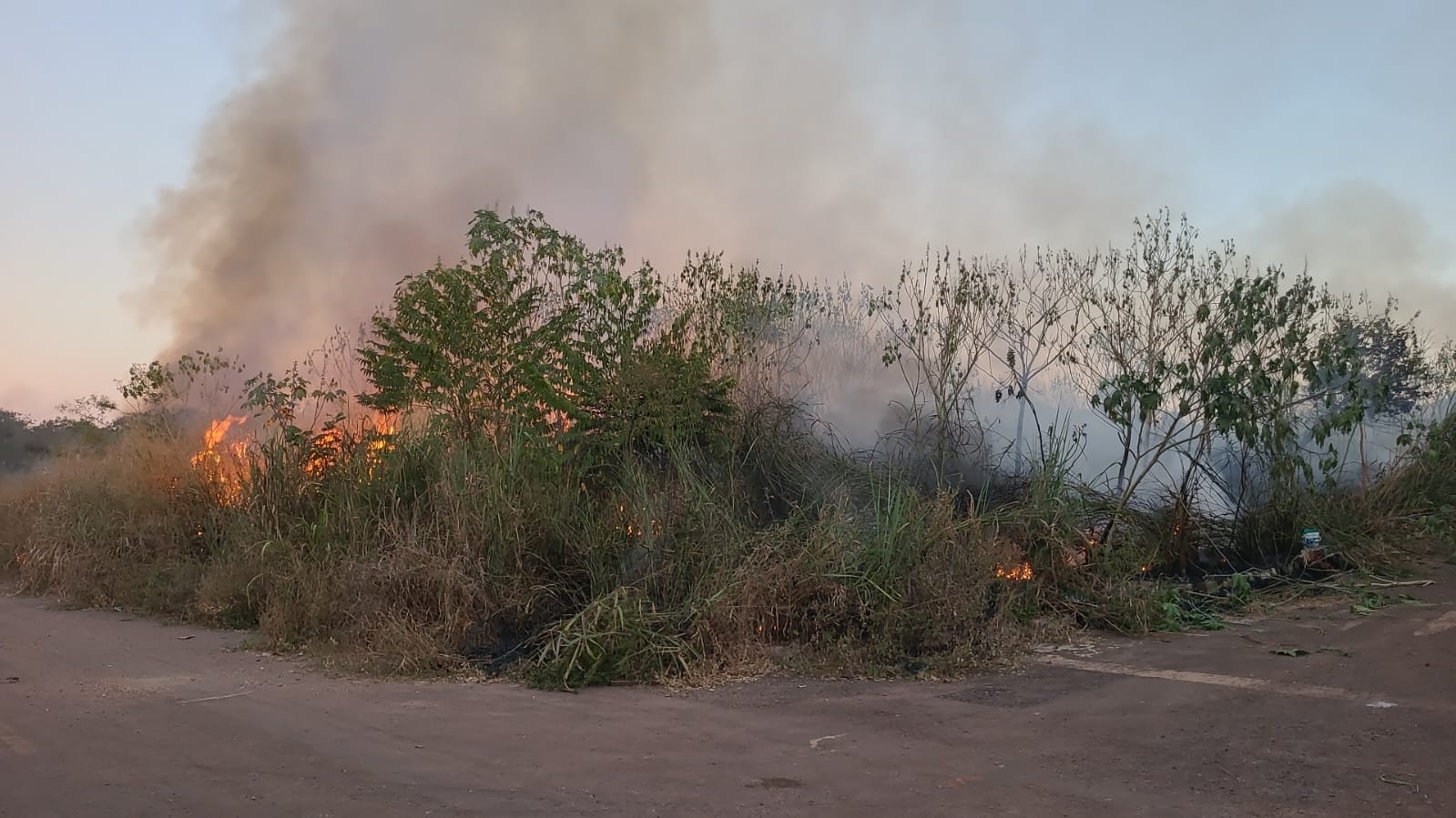 PRÁTICA CRIMINOSA Queimadas começam a preocupar e Município alerta sobre prejuízos à sociedade Publicado em 23/07/26 às 07:45 Secretaria Municipal de Meio Ambiente, Agricultura e Pecuária