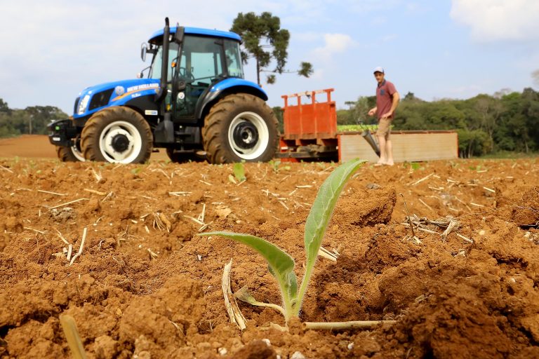 Medida provisória cria linhas de crédito para produtores rurais afetados pelo clima e pela queda de preços