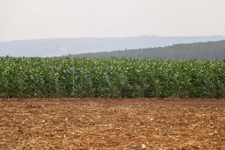 Retrospectiva: deputados aprovaram incentivos para a indústria nacional de fertilizantes