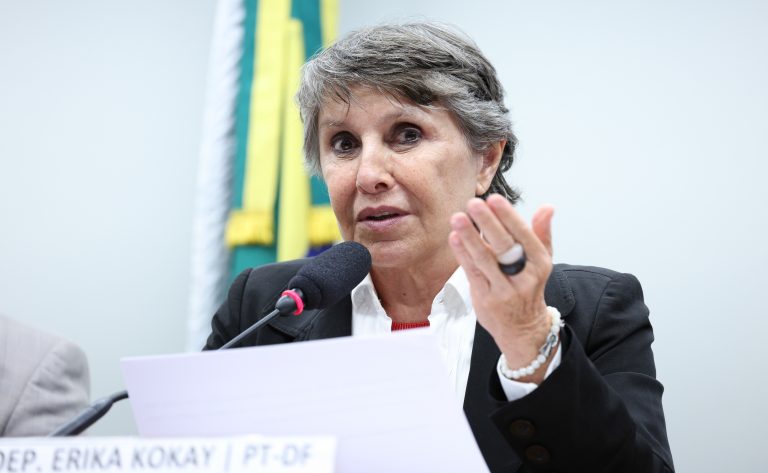Comissão debate a pauta da infância e da adolescência nas eleições de 2026; participe